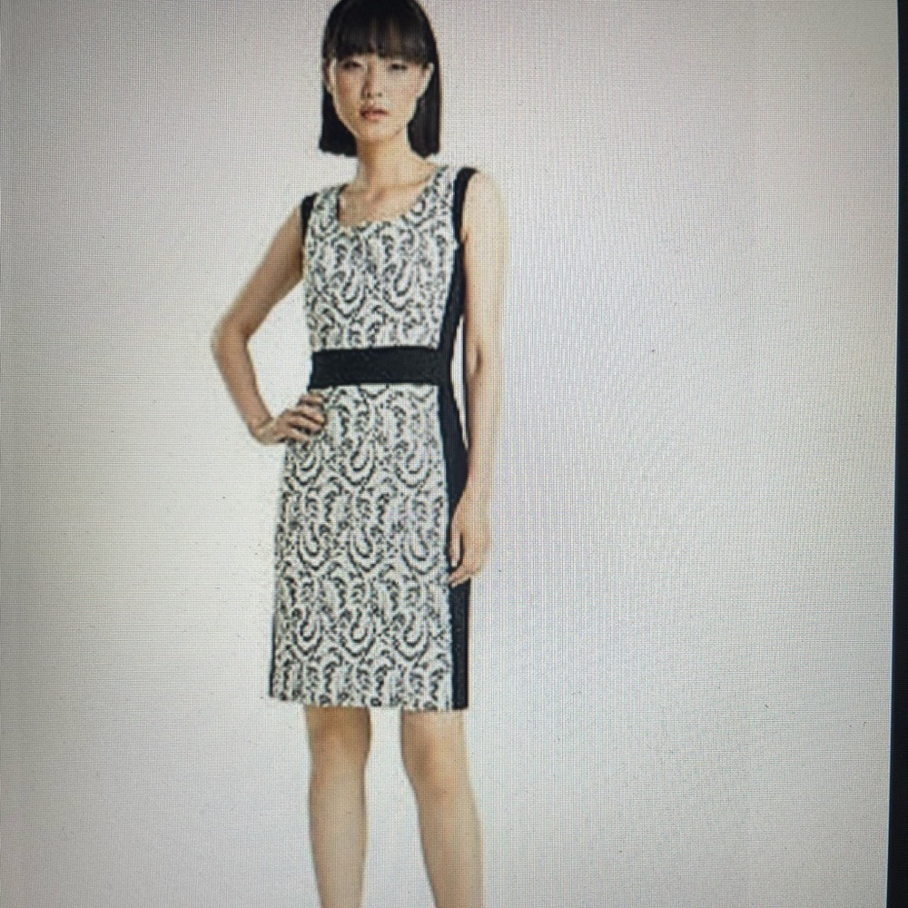 Lafayette Chantilly Ansel Lace Jacquard mid length cocktail dress